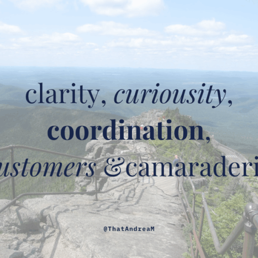 clarity curiosity coordination customers camaraderie