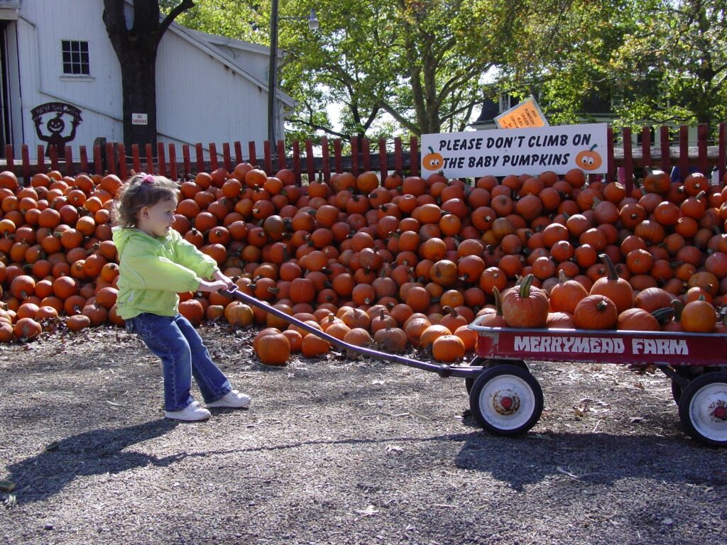 Child pulling pumpkin wagon alone, illustrating delegation challenges leaders face